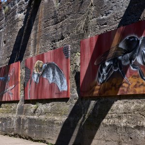 Kunst im LaPaDu...... Werner Schuffenhauer